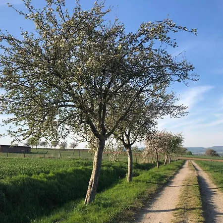 Ferienwohnung-wesertal * Hamelin