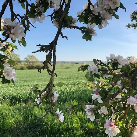 Ferienwohnung-wesertal