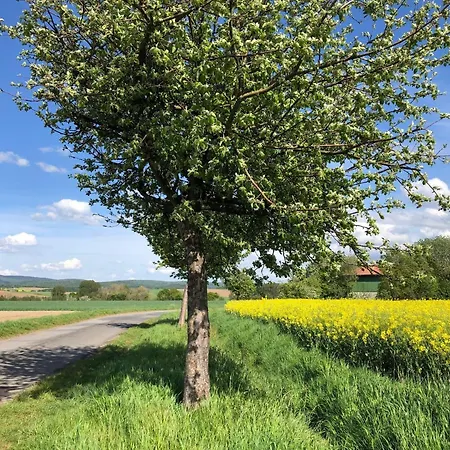 Apartamento Ferienwohnung-wesertal *